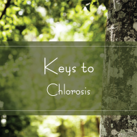 Keys to Chlorosis Keys to Chlorosis